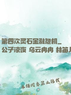第四次灵石金融危机